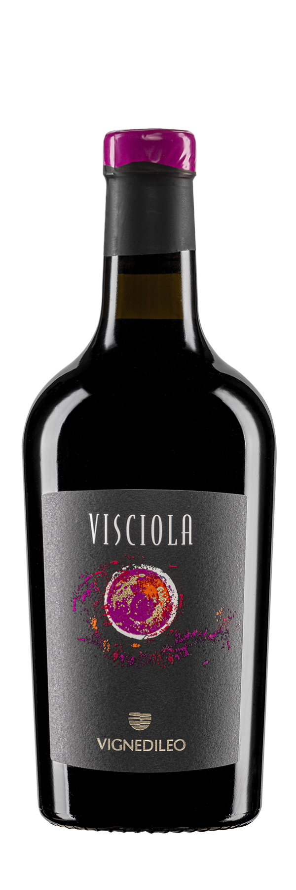 vignedileo_visciola